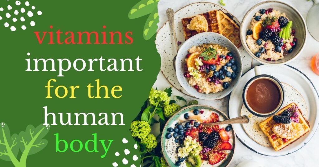 Vitamins important for the human body